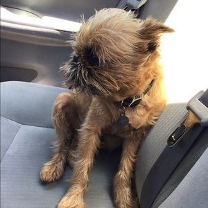 Meet your Posher, Stephenie